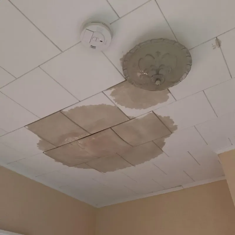 Ceiling Water Damage Repair in Woodbine, GA