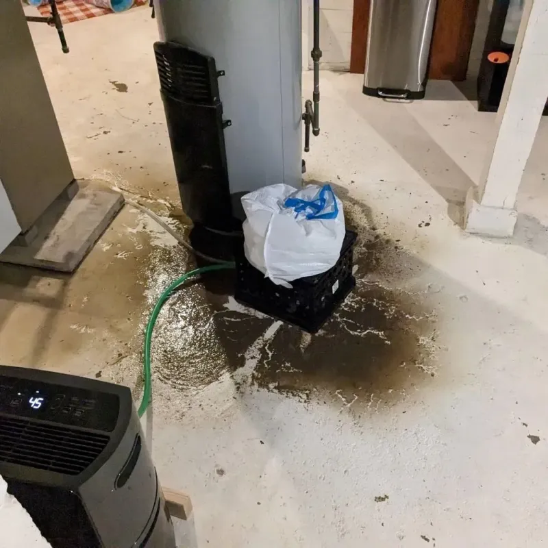 Sewage Backup Cleanup Service in Woodbine, GA